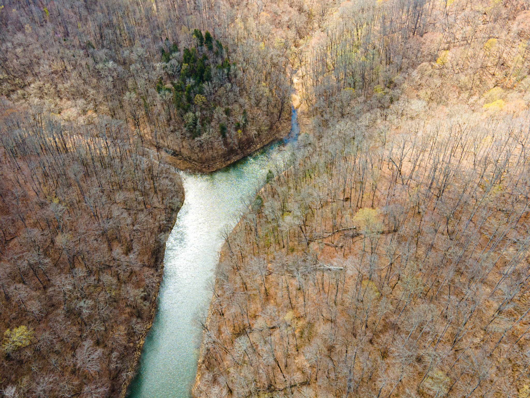 0 Peninsulas Edge Drive Sparta, TN 38583 - Photo 8 of 15 a picture of a tree with a yard