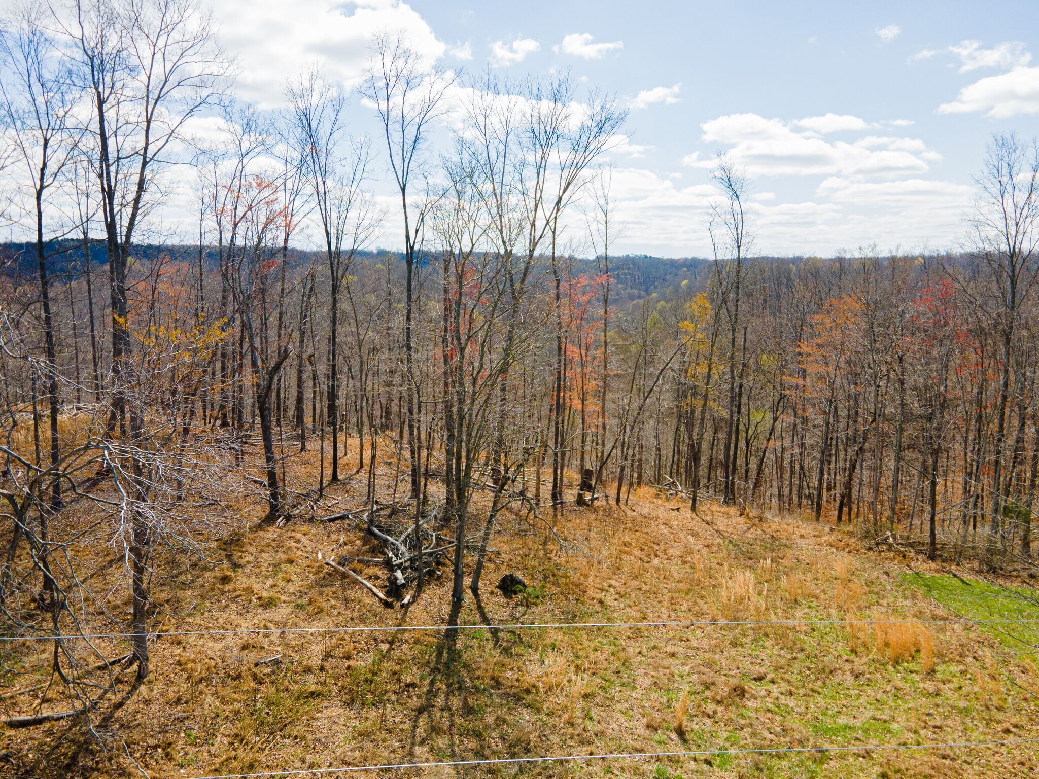 0 Peninsulas Edge Drive Sparta, TN 38583 - Photo 9 of 15 a view of three trees with wooden fence