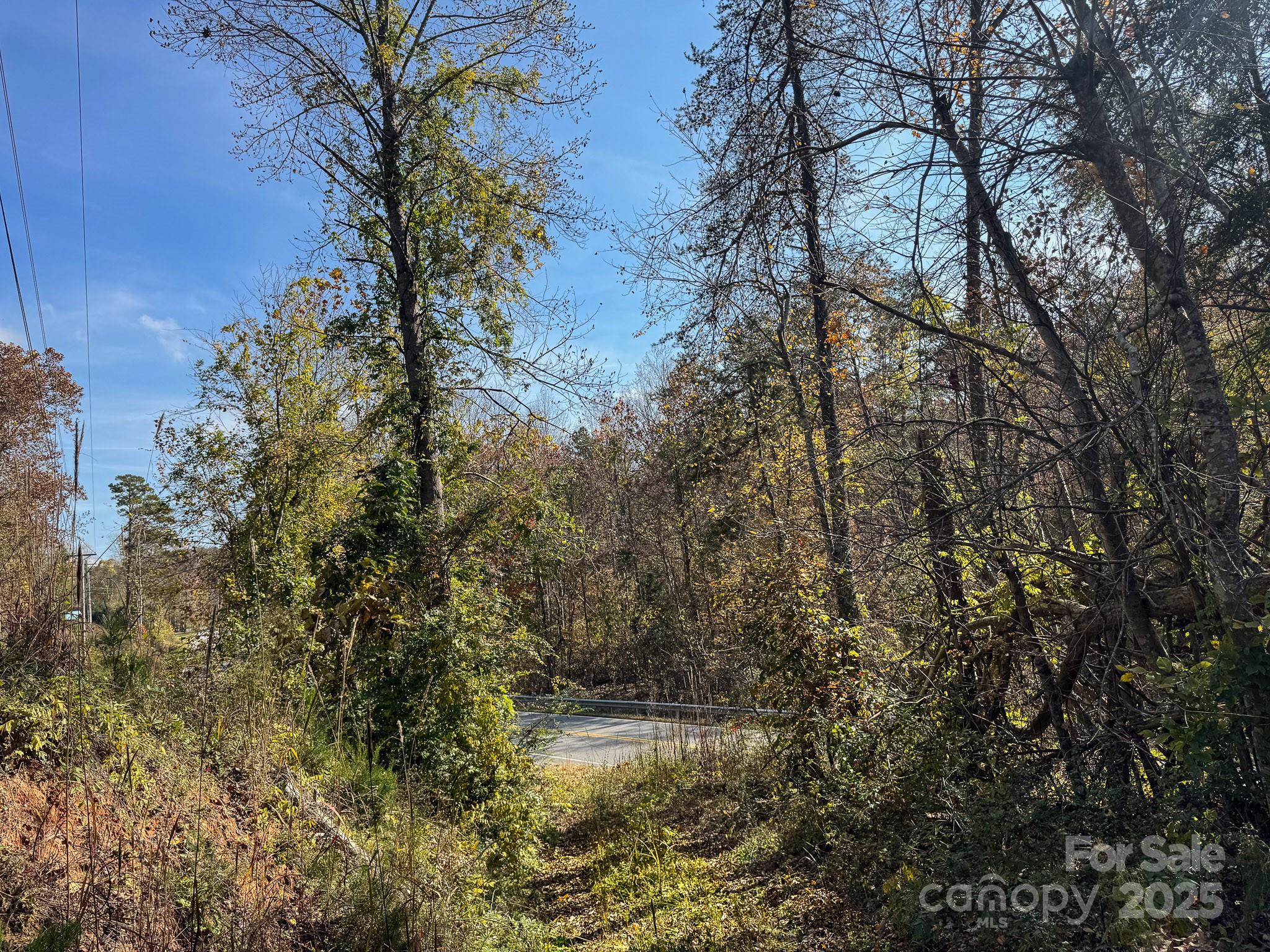 3510 Highway 64 Rutherfordton, NC 28139 - Photo 2 of 10
