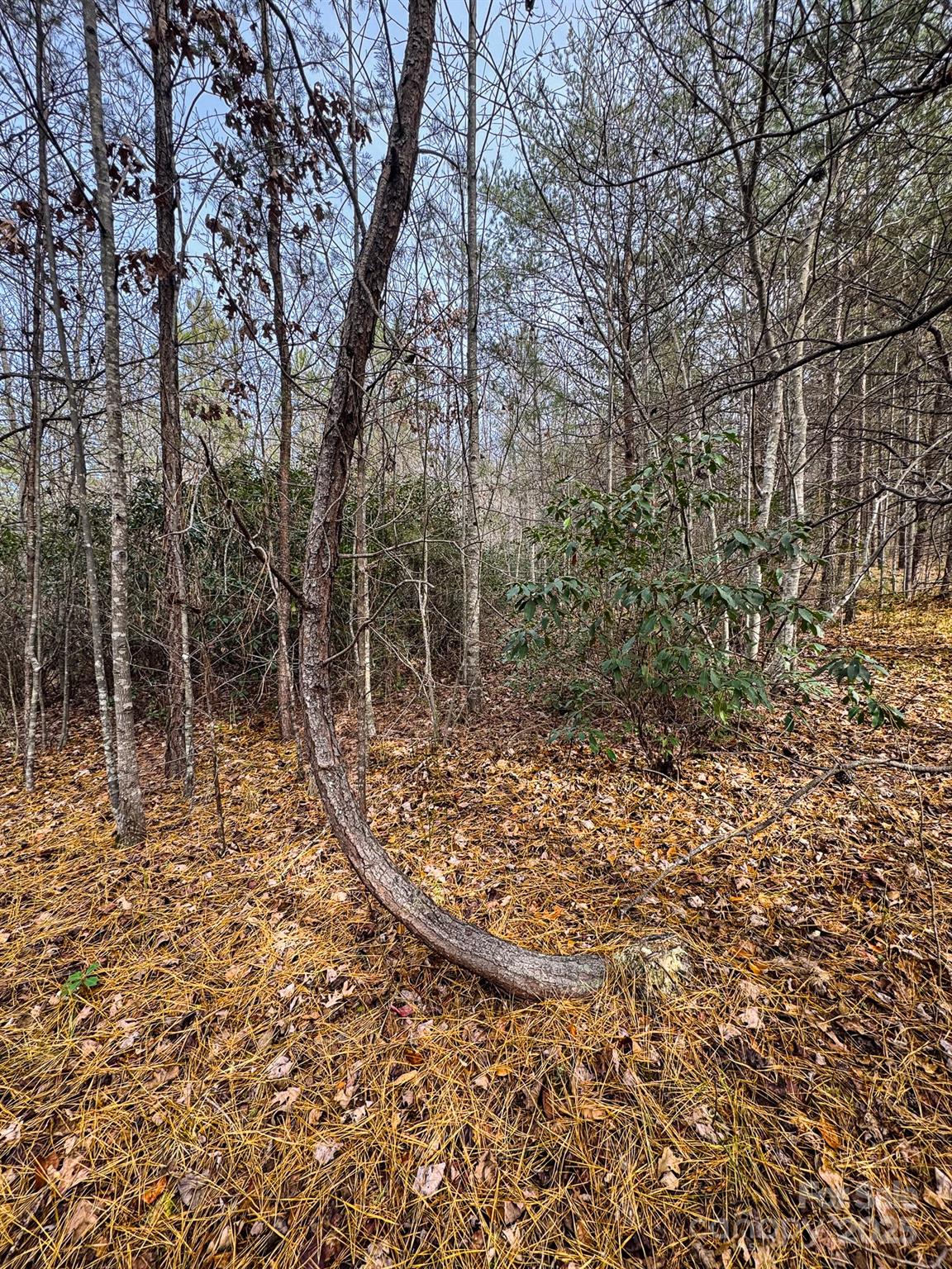 3510 Highway 64 Rutherfordton, NC 28139 - Photo 3 of 10