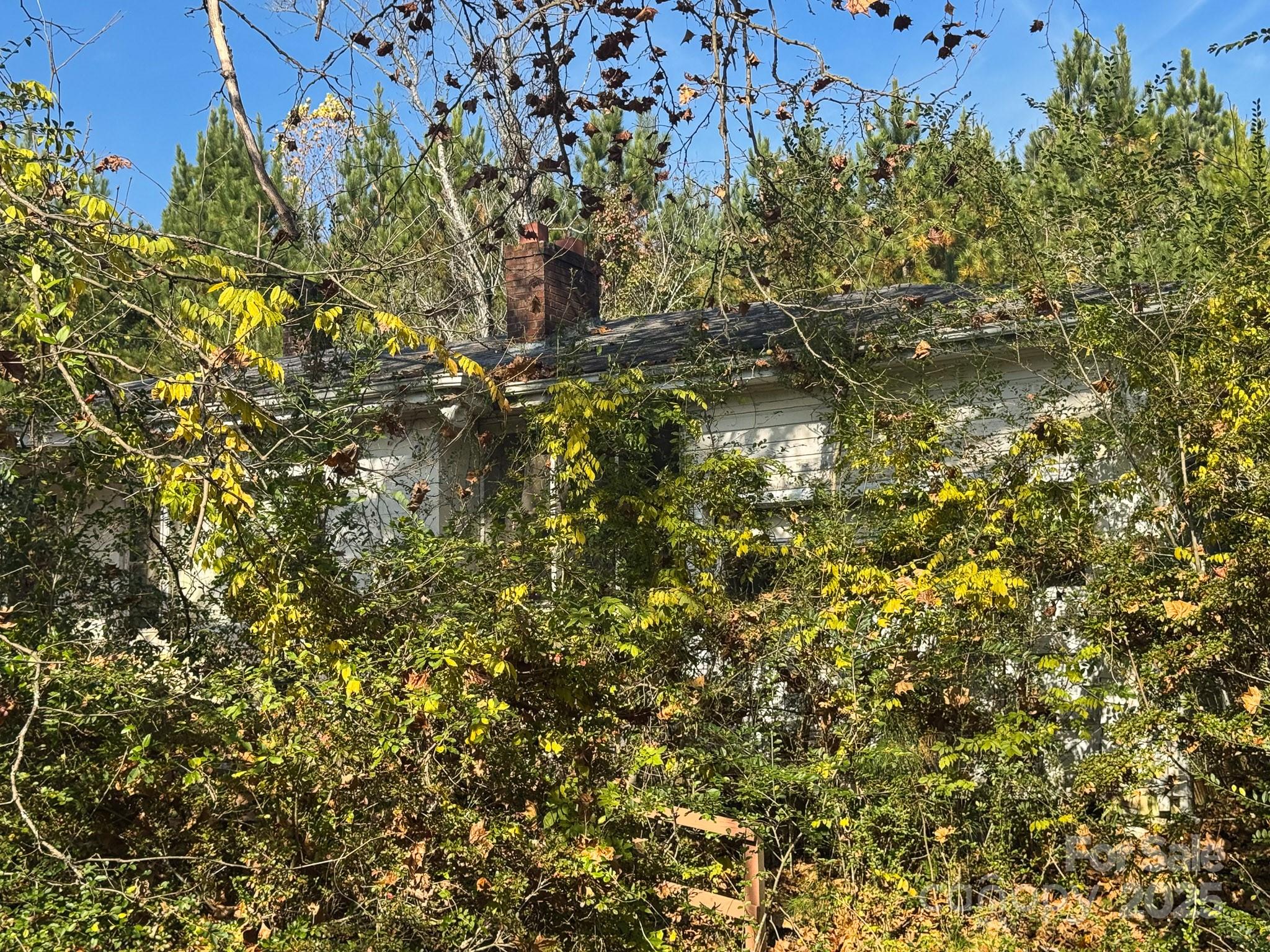 3510 Highway 64 Rutherfordton, NC 28139 - Photo 8 of 10