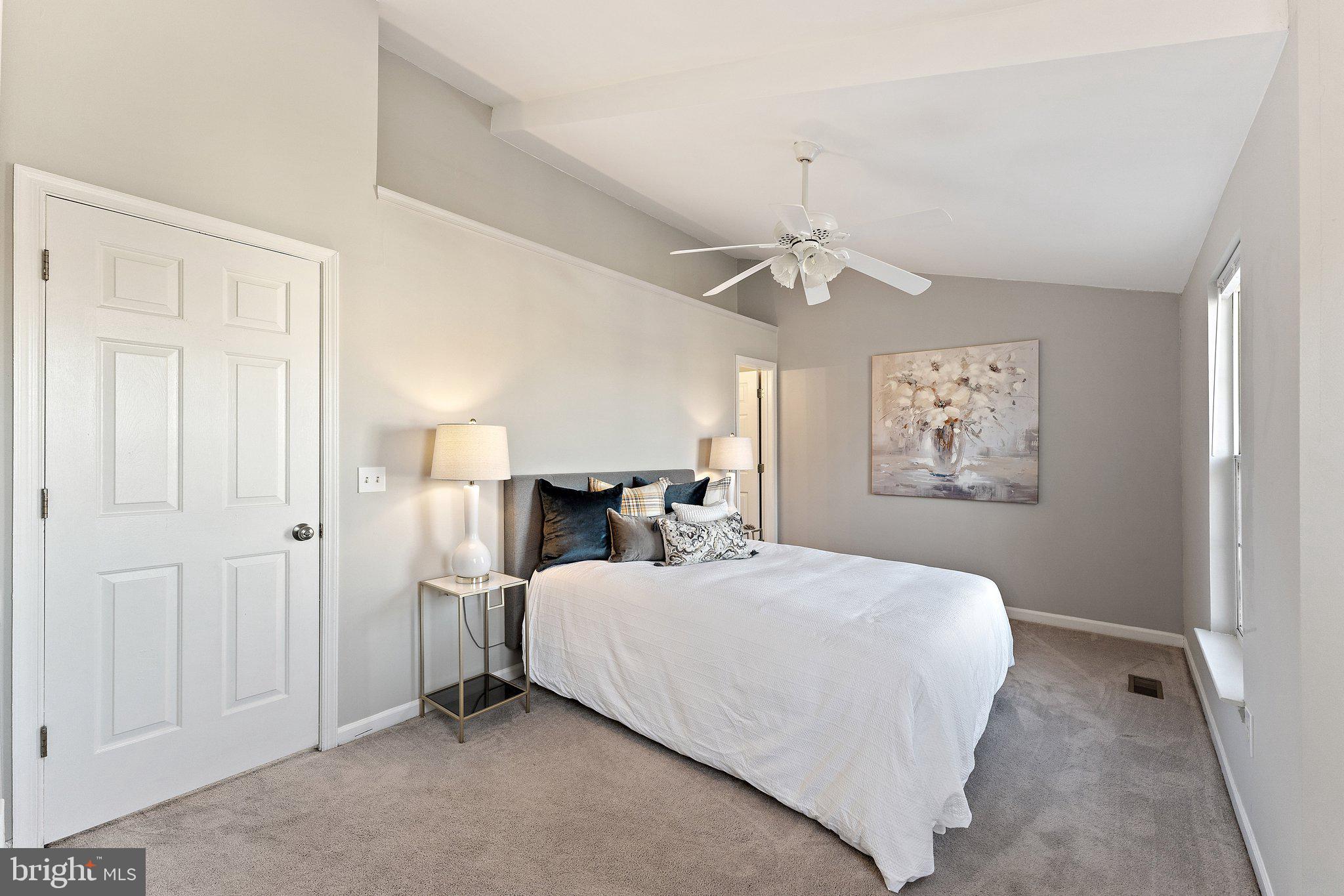 45304 Gable Square Sterling, VA 20164 - Photo 14 of 28 Vaulted ceiling in owners suite