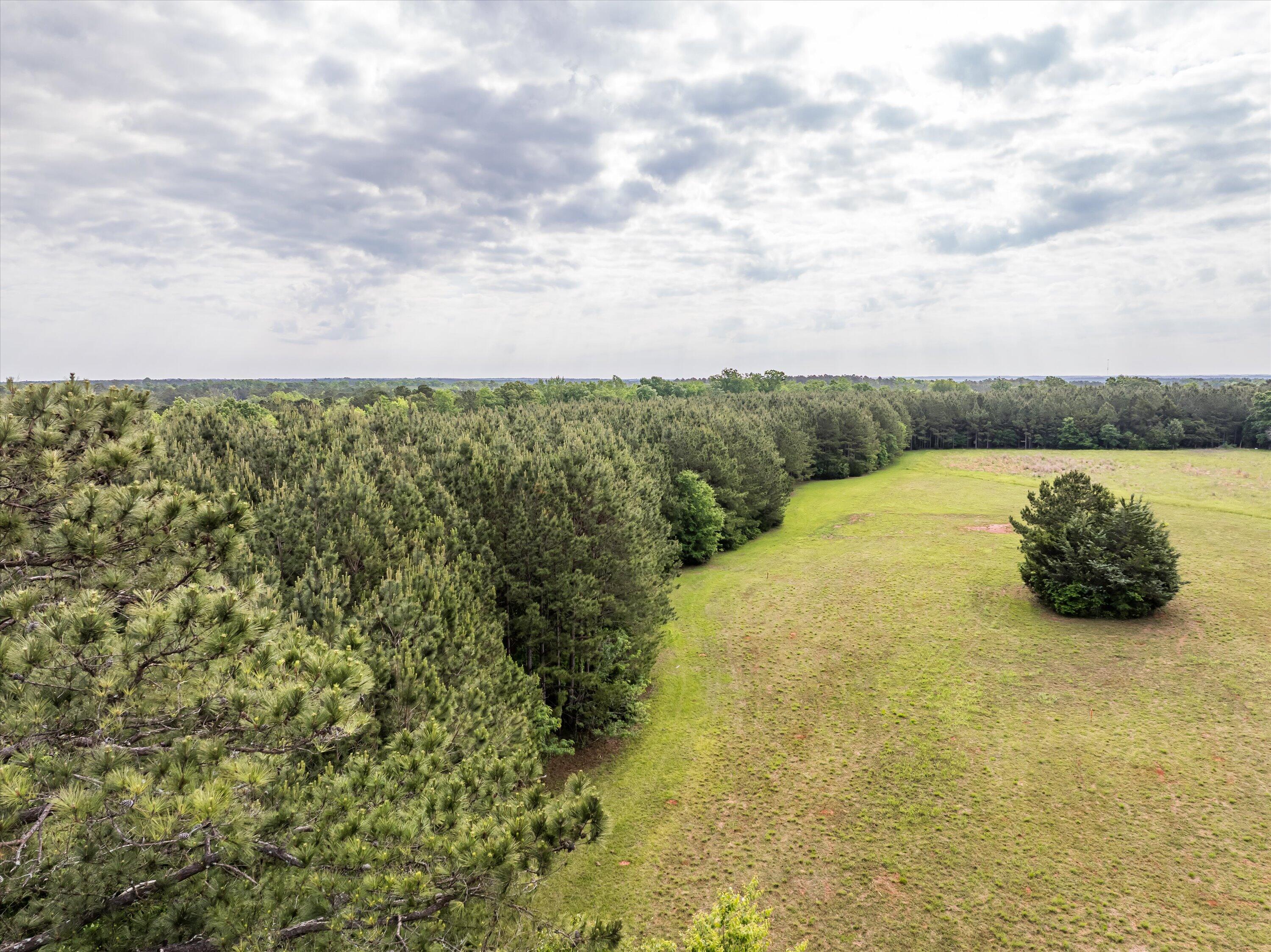 5750 Cobbham Road Appling, GA 30802 - Photo 8 of 18 50-Lot 3_3
