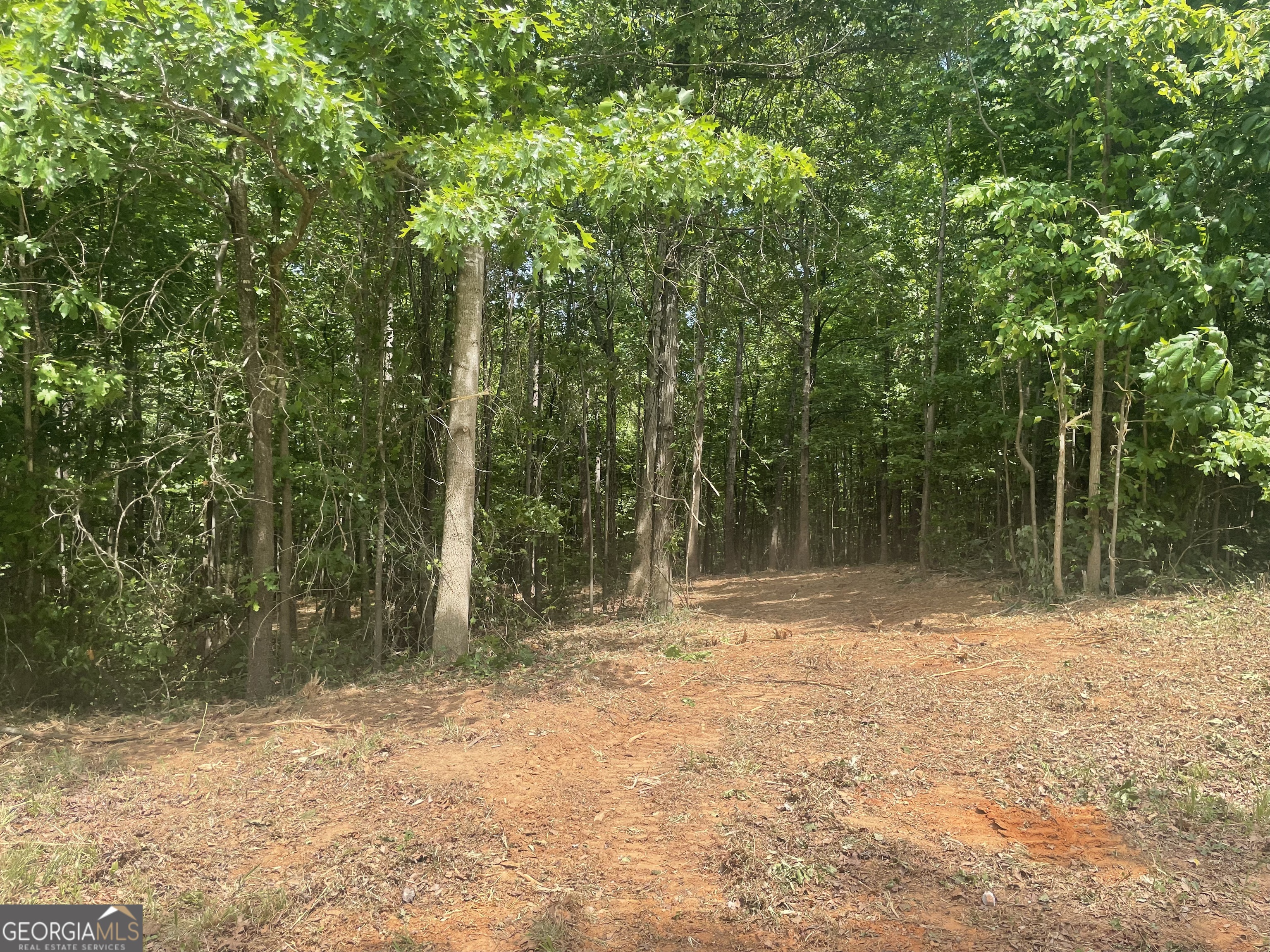 0 Kesler Carnesville, GA 30521 - Photo 3 of 14