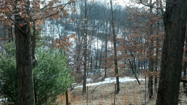 6030 Pronto Road Southeast Amsterdam, OH 43903 - Photo 11 of 13 Gallery Image 11