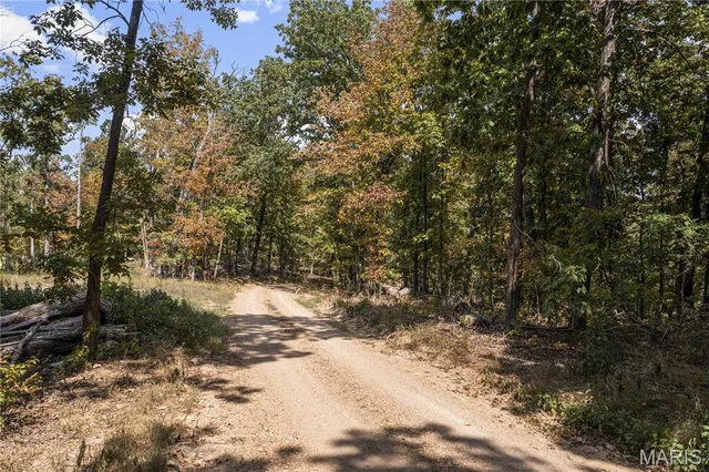 $250,000 | 0 Bcr 300 Marble Hill, Marble Hill, MO 63764