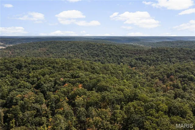 $250,000 | 0 Bcr 300 Marble Hill, Marble Hill, MO 63764