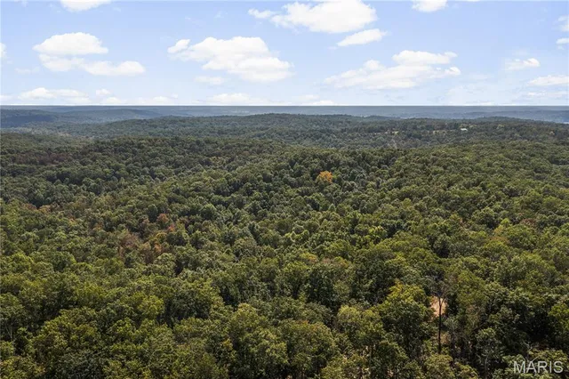 $250,000 | 0 Bcr 300 Marble Hill, Marble Hill, MO 63764