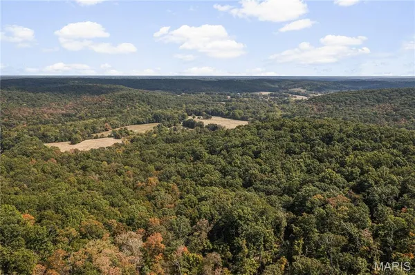 $235,000 | 0 Bcr 300 Marble Hill, Marble Hill, MO 63764