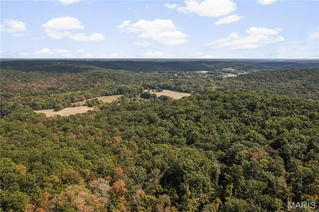 $250,000 | 0 Bcr 300 Marble Hill, Marble Hill, MO 63764