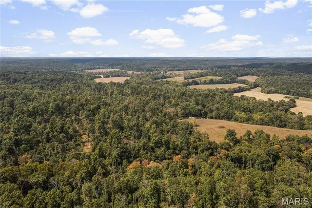 $250,000 | 0 Bcr 300 Marble Hill, Marble Hill, MO 63764