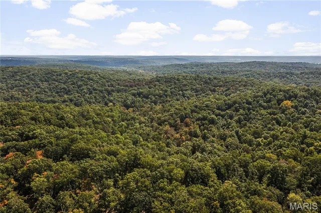 $250,000 | 0 Bcr 300 Marble Hill, Marble Hill, MO 63764