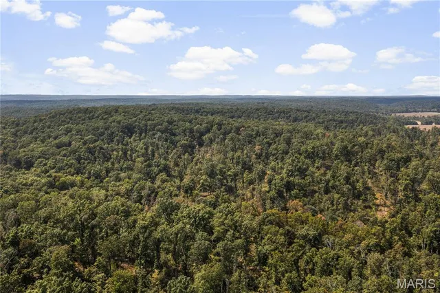 $250,000 | 0 Bcr 300 Marble Hill, Marble Hill, MO 63764