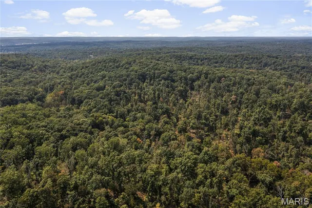 $250,000 | 0 Bcr 300 Marble Hill, Marble Hill, MO 63764