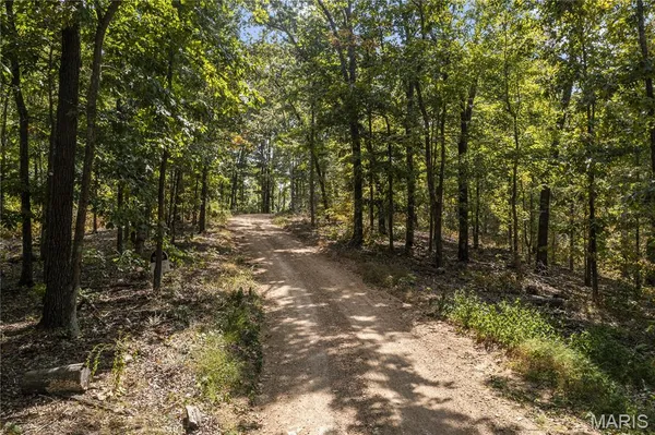 $235,000 | 0 Bcr 300 Marble Hill, Marble Hill, MO 63764