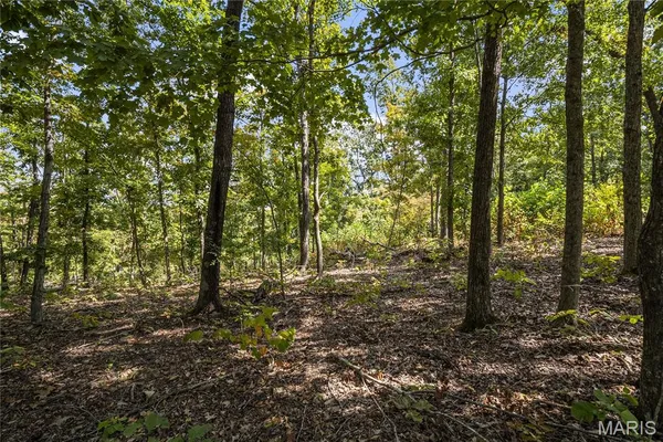 $235,000 | 0 Bcr 300 Marble Hill, Marble Hill, MO 63764