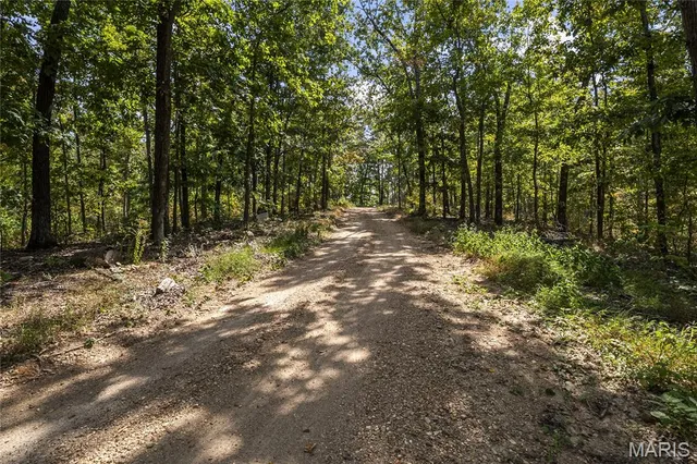 $250,000 | 0 Bcr 300 Marble Hill, Marble Hill, MO 63764