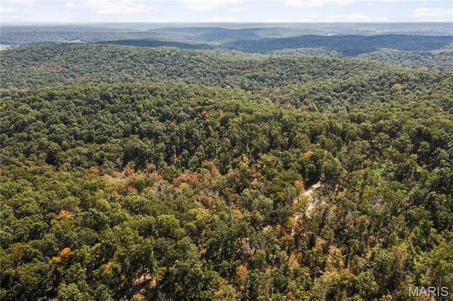 $250,000 | 0 Bcr 300 Marble Hill, Marble Hill, MO 63764