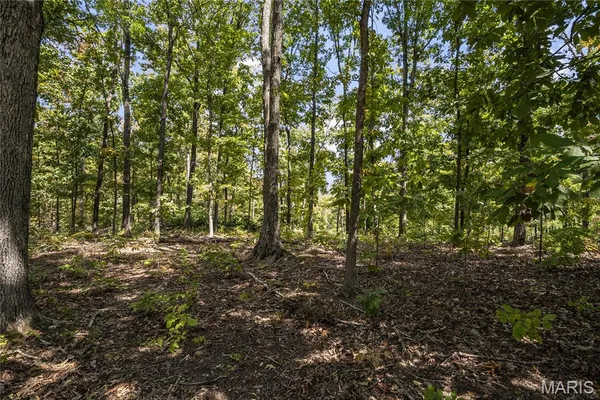 $235,000 | 0 Bcr 300 Marble Hill, Marble Hill, MO 63764