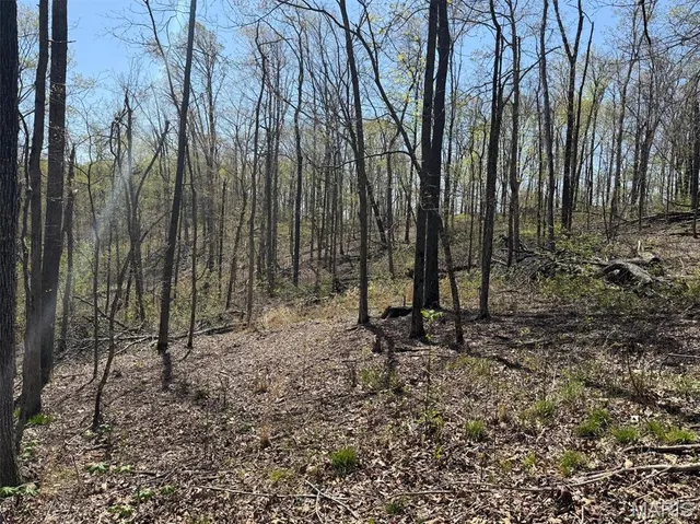 $250,000 | 0 Bcr 300 Marble Hill, Marble Hill, MO 63764