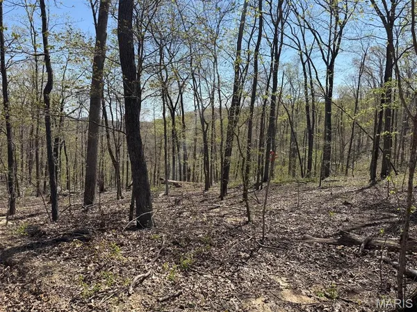 $235,000 | 0 Bcr 300 Marble Hill, Marble Hill, MO 63764