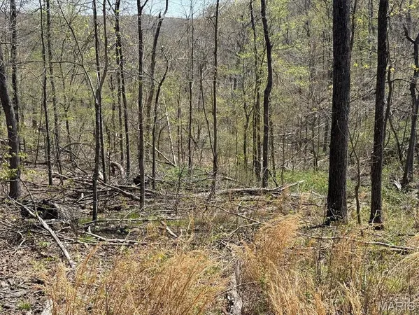 $235,000 | 0 Bcr 300 Marble Hill, Marble Hill, MO 63764