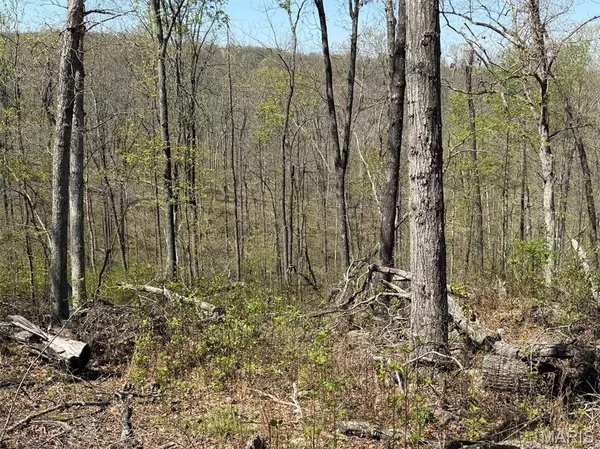 $235,000 | 0 Bcr 300 Marble Hill, Marble Hill, MO 63764