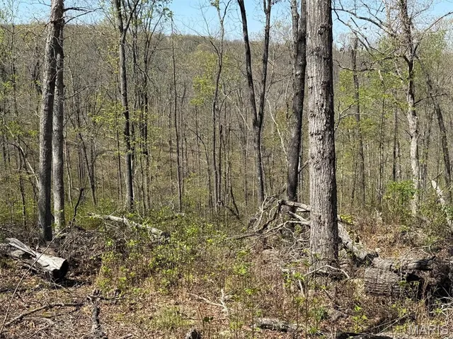 $250,000 | 0 Bcr 300 Marble Hill, Marble Hill, MO 63764