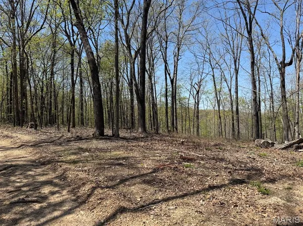 $235,000 | 0 Bcr 300 Marble Hill, Marble Hill, MO 63764