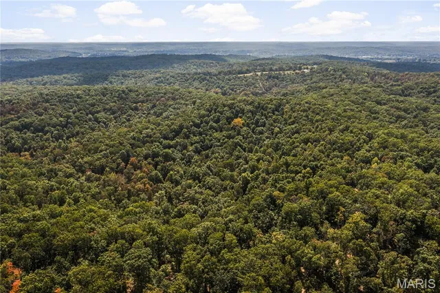 $250,000 | 0 Bcr 300 Marble Hill, Marble Hill, MO 63764