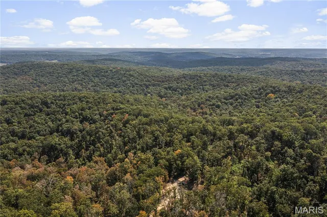 $250,000 | 0 Bcr 300 Marble Hill, Marble Hill, MO 63764