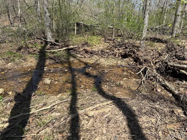 $250,000 | 0 Bcr 300 Marble Hill, Marble Hill, MO 63764