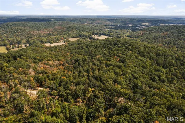 $250,000 | 0 Bcr 300 Marble Hill, Marble Hill, MO 63764