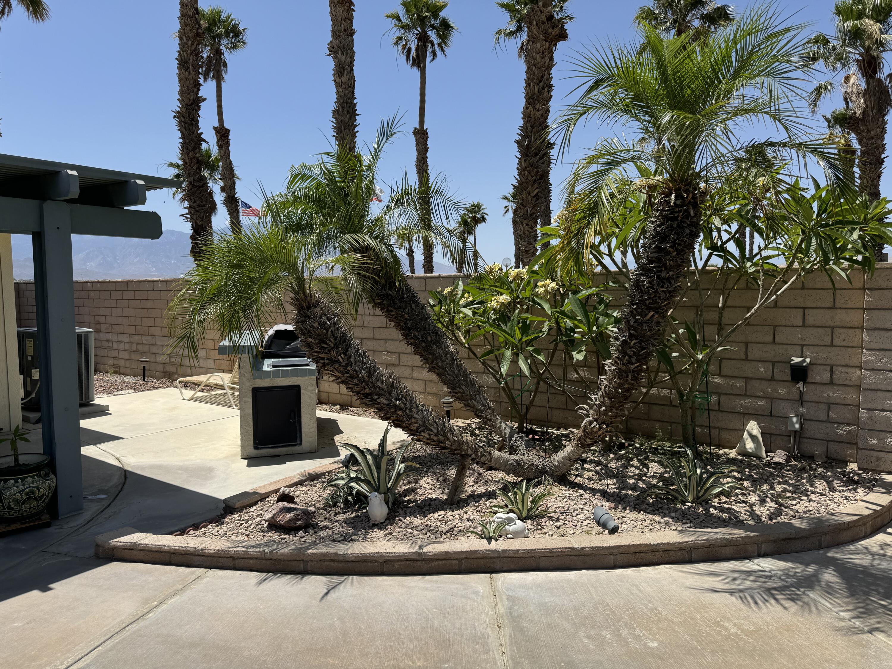 74658 Bellows Road Thousand Palms, CA 92276 - Photo 10 of 33 IMG_0756