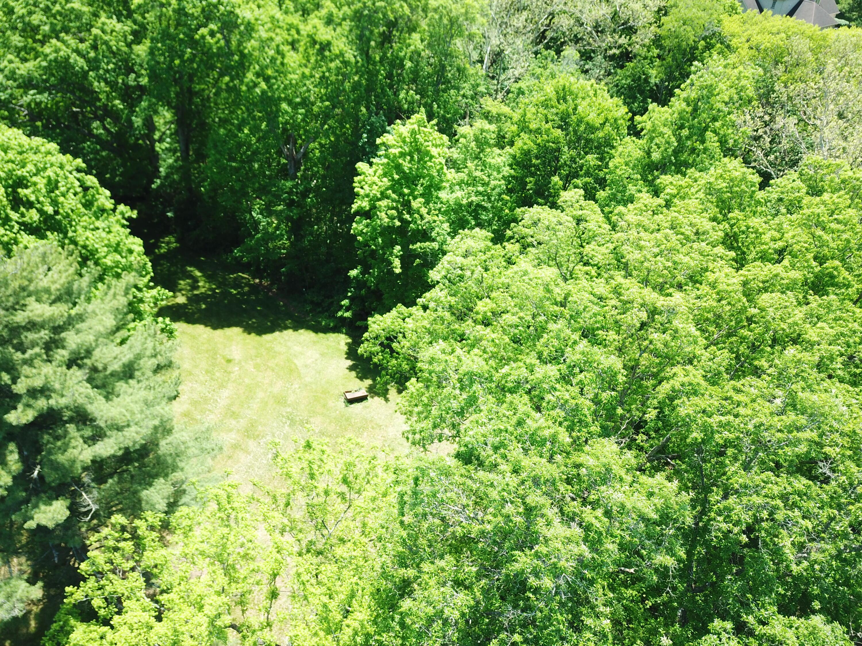 1428 Jewett Road Powell, OH 43065 - Photo 10 of 12 DJI_0265