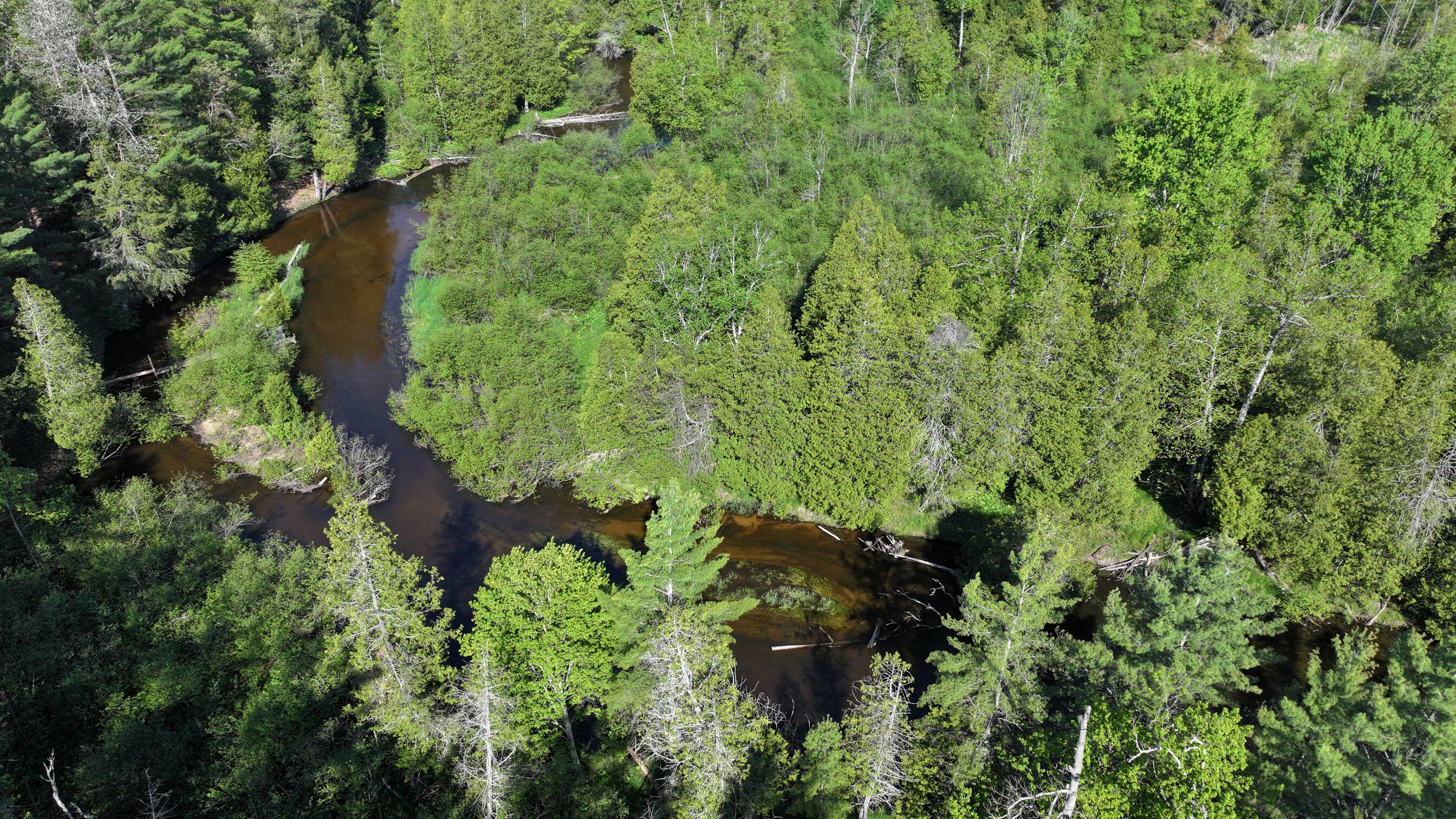 V/l West Pomeroy Springs Road Irons, MI 49644 - Photo 12 of 27 DJI_20260526095739_0386_D