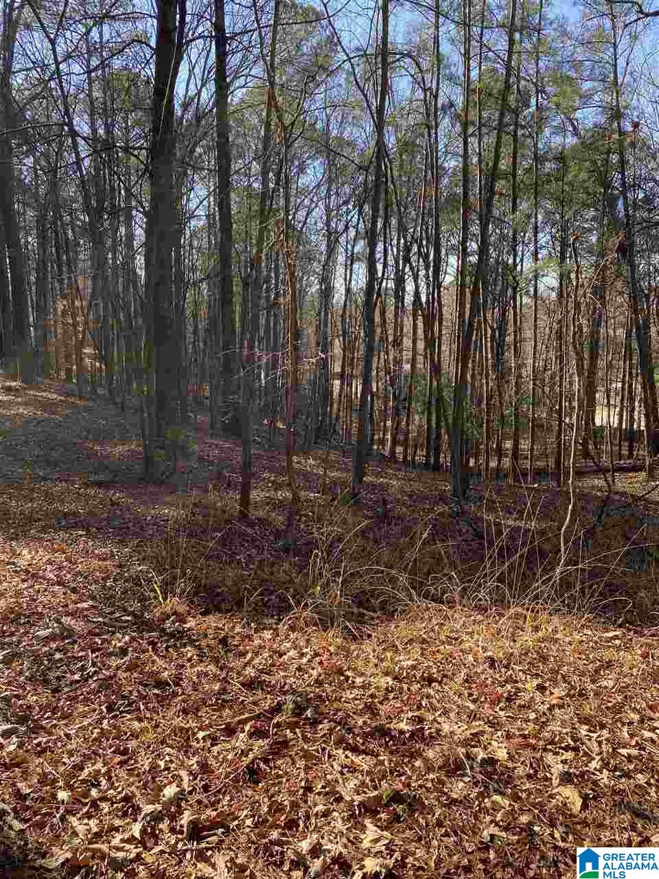 2622 Valleydale Road Birmingham, AL 35244 - Photo 34 of 36