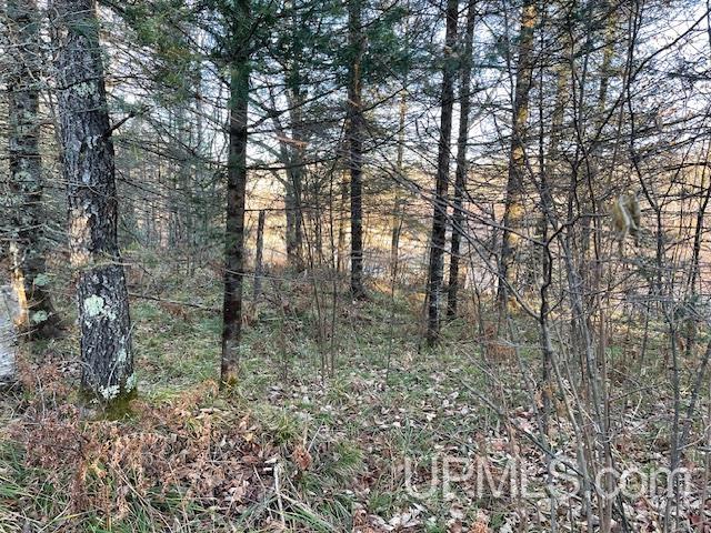 11812 East Howen Road Long Lake, WI 54542 - Photo 4 of 20