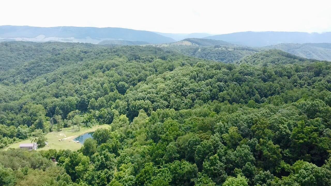 Mountain Road Peterstown, WV 24963 - Photo 6 of 11 Gallery Image 6