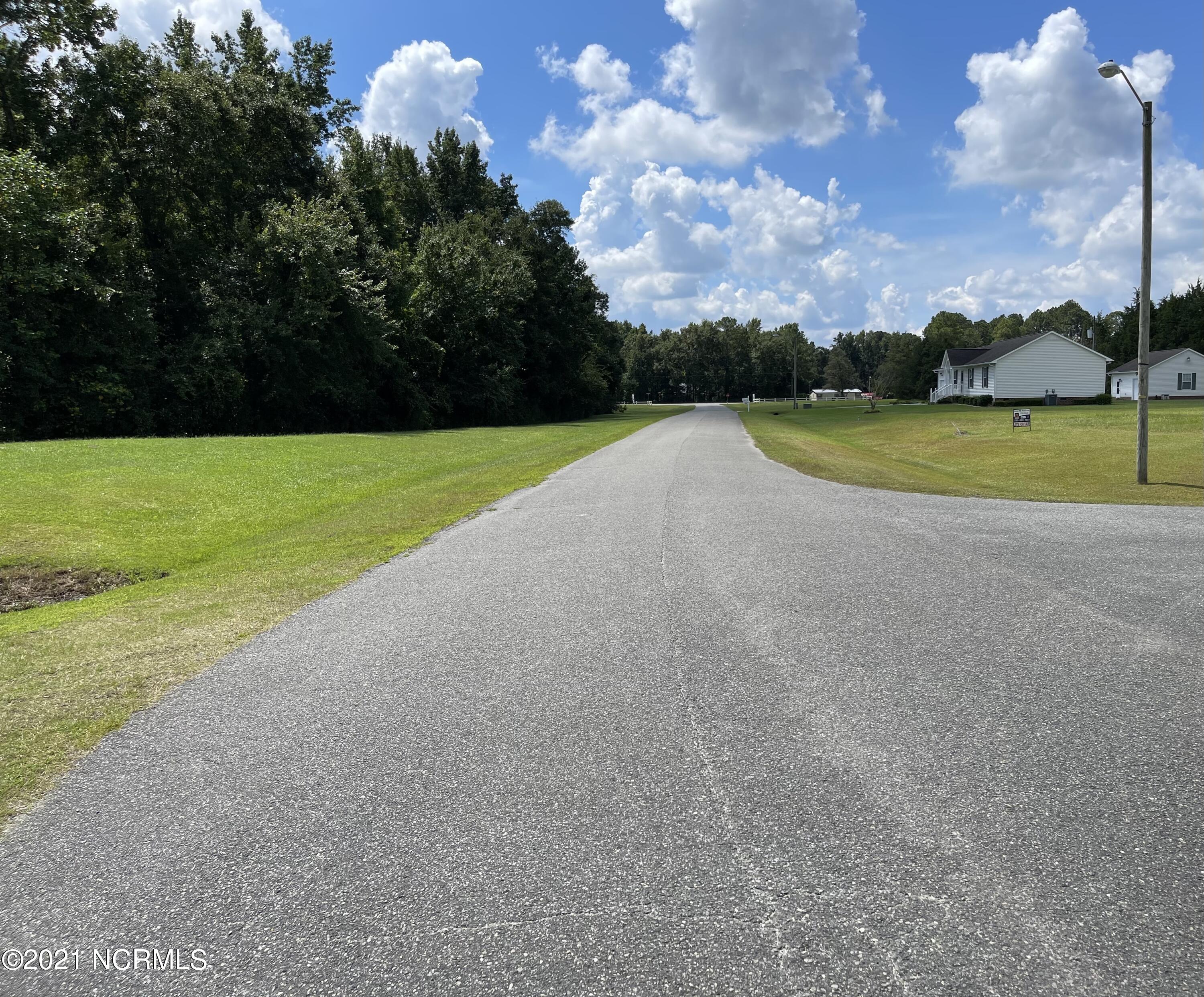 1044 Aspen Ridge Court Deep Run, NC 28525 - Photo 3 of 10 IMG-0450