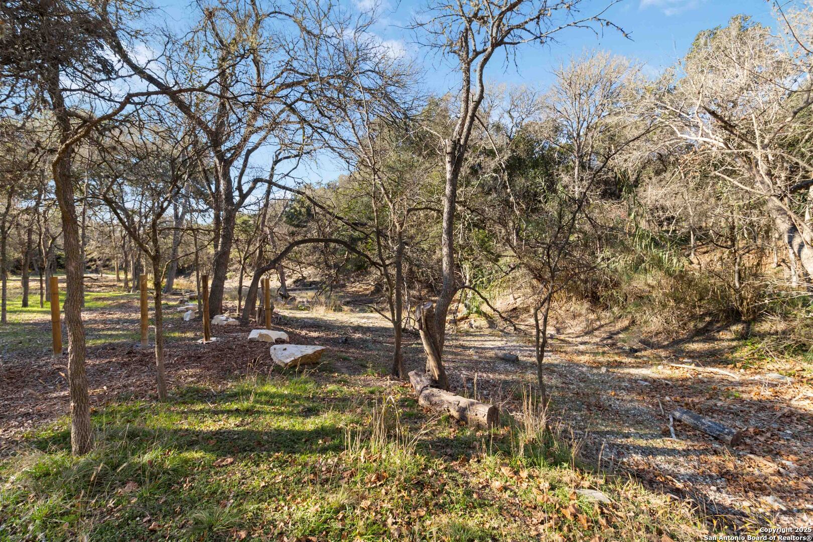 19517 Scenic Loop Road Helotes, TX 78023 - Photo 43 of 55 a backyard of a house with lots of green space