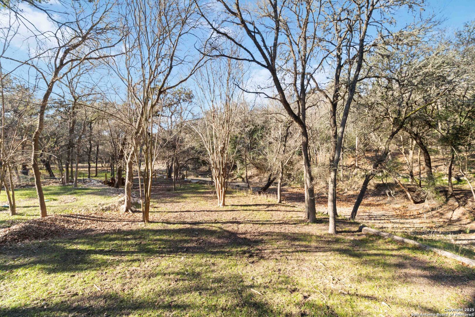 19517 Scenic Loop Road Helotes, TX 78023 - Photo 44 of 55 a view of a yard with large trees