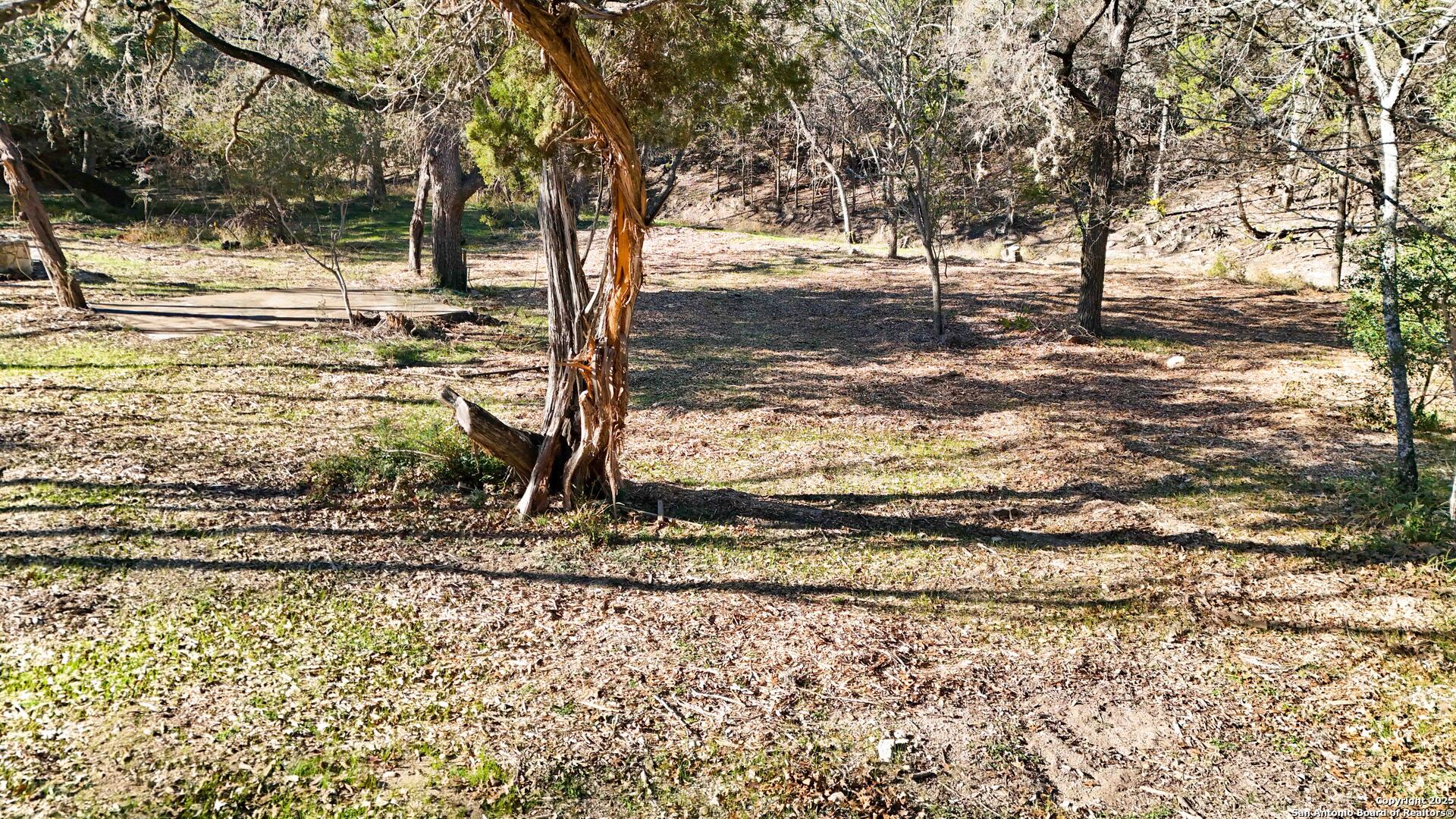 19517 Scenic Loop Road Helotes, TX 78023 - Photo 46 of 55 a view of a yard with large trees