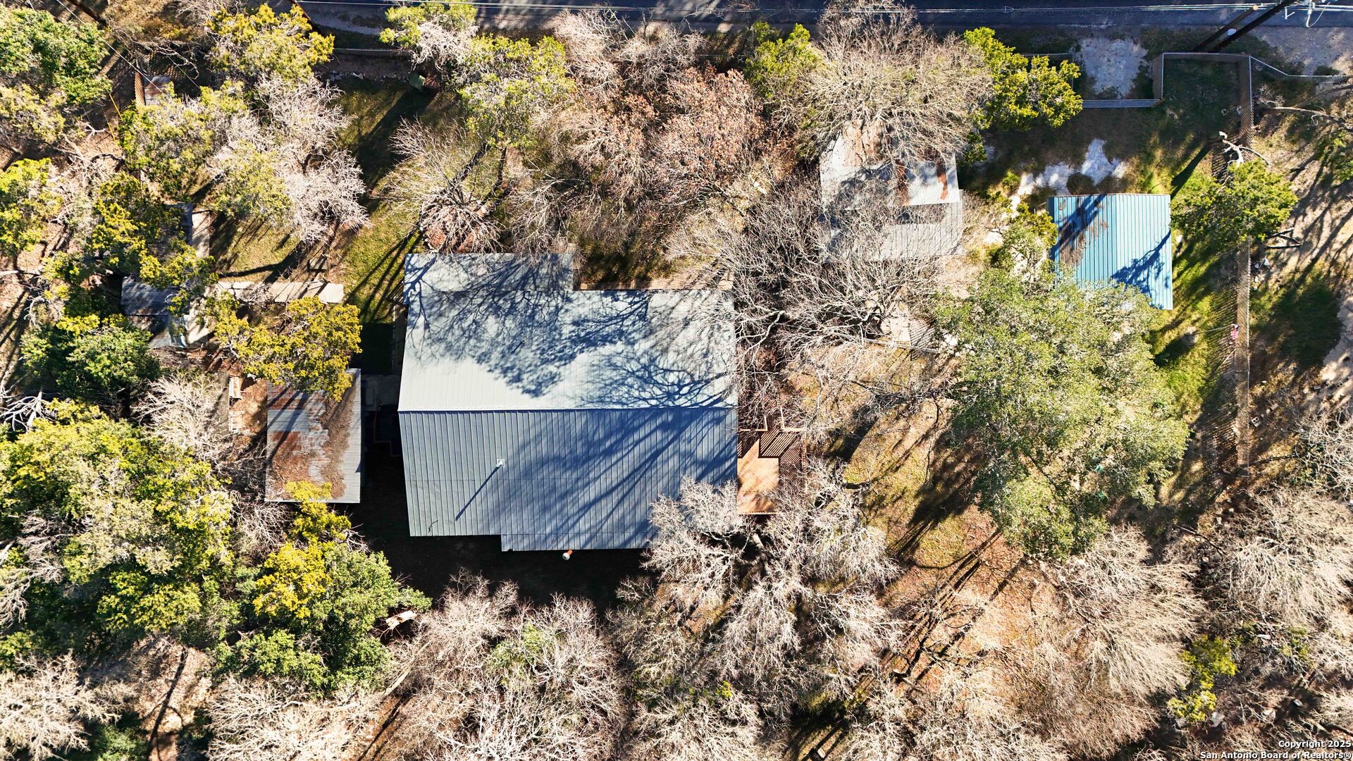 19517 Scenic Loop Road Helotes, TX 78023 - Photo 48 of 55 a view of a tree with a yard