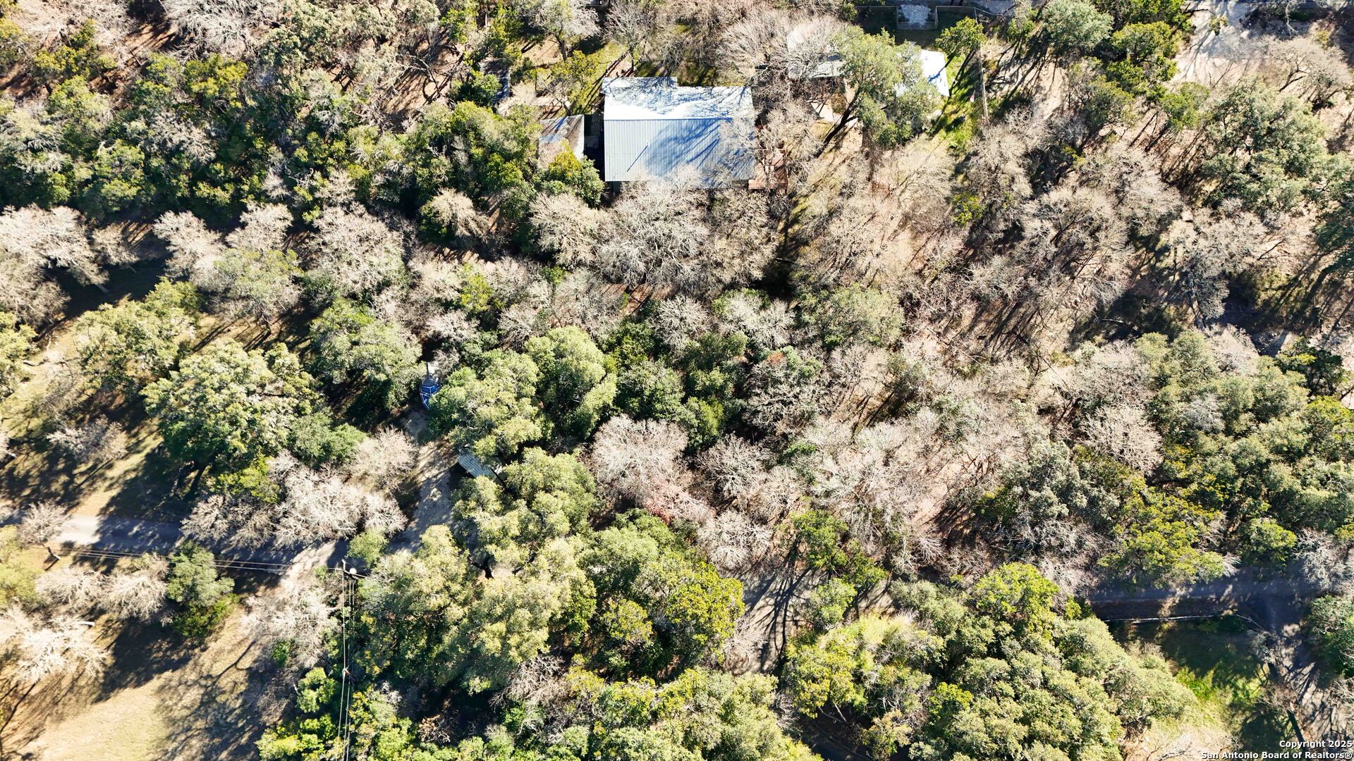19517 Scenic Loop Road Helotes, TX 78023 - Photo 51 of 55 a view of a house with a tree