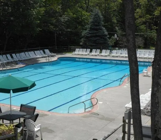 a view of swimming pool with outdoor seating and trees