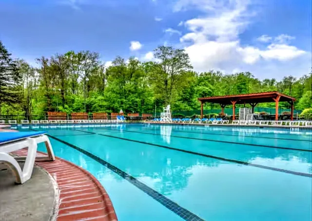 a view of a swimming pool with a yard