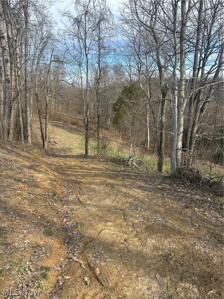 Lookout Road Stockport, OH 43787 - Photo 27 of 27