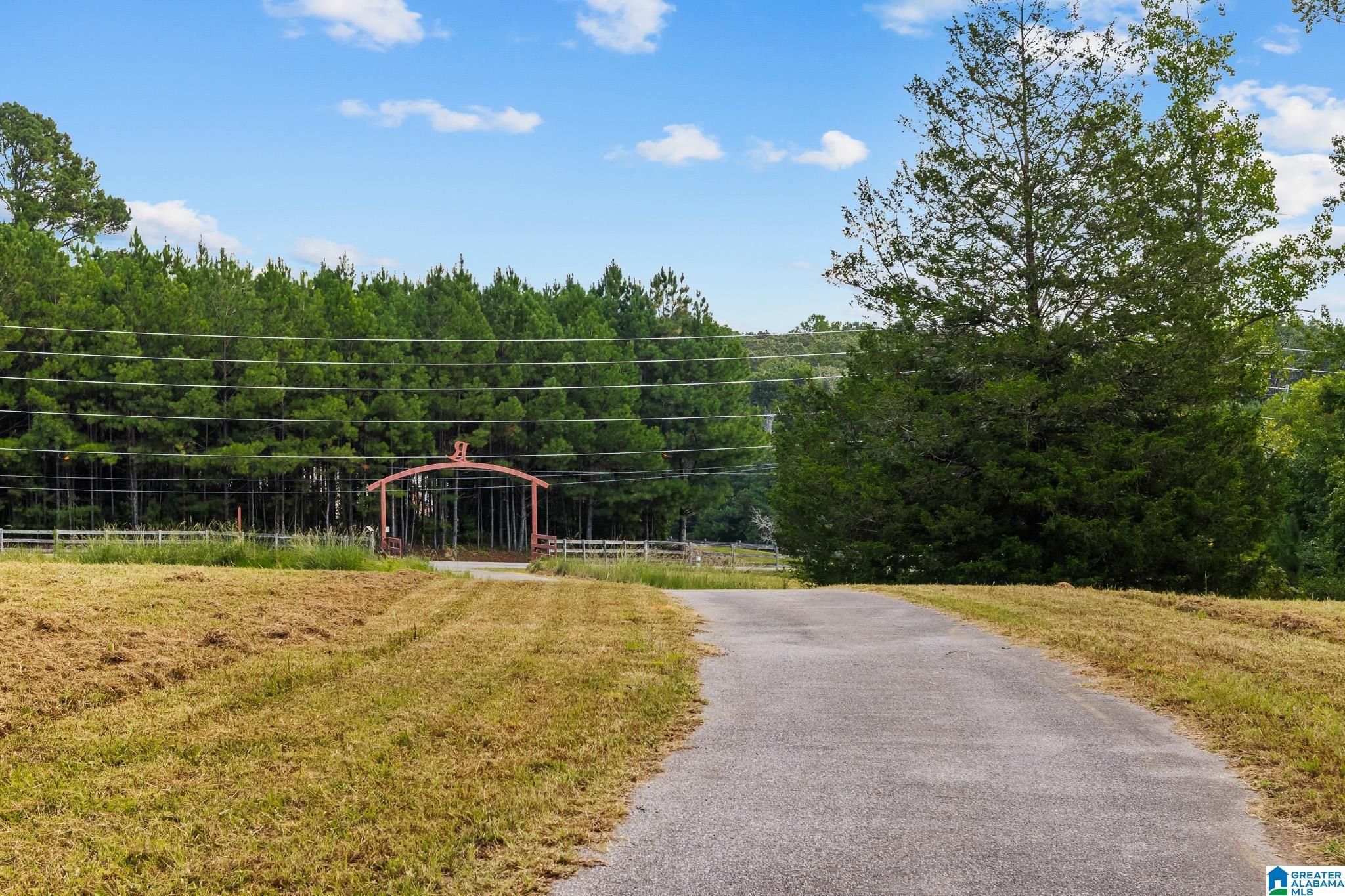 1695 Sanie Road Odenville, AL 35120 - Photo 34 of 63