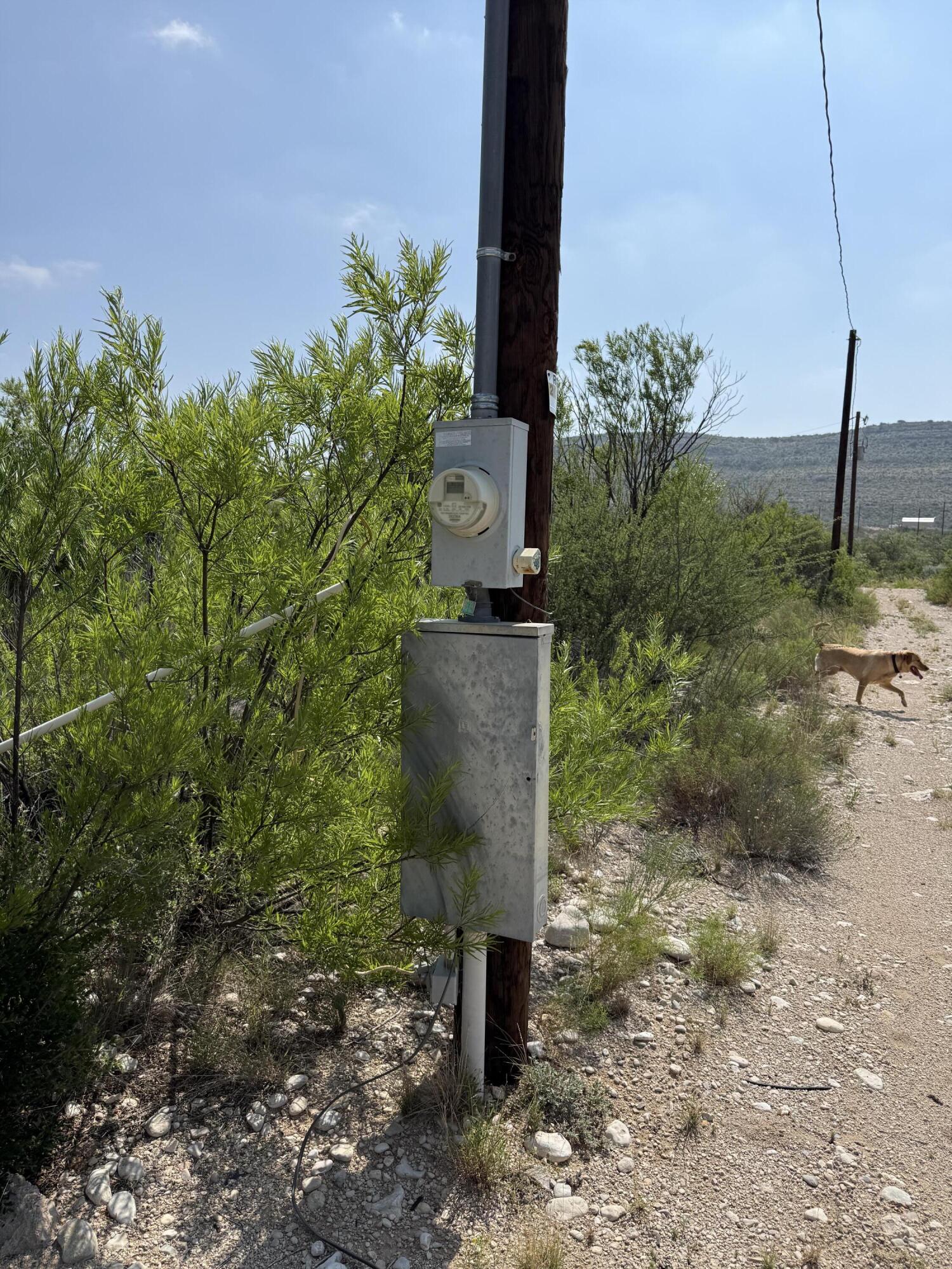 25475 Rr 2083 Ozona, TX 76943 - Photo 16 of 40 16Pandale
